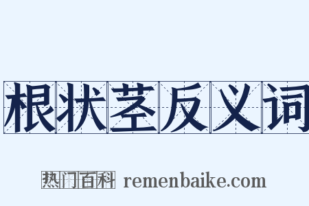 根状茎反义词是什么意思的图片
